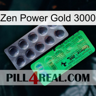 Zen Power Gold 3000 new04